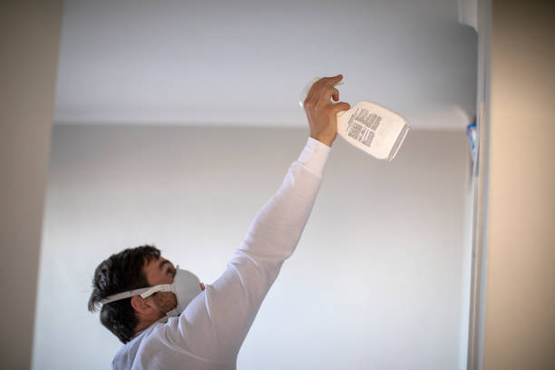 Best Bathroom Mold Remediation in Connersville, IN